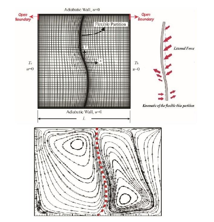 Fluid-structure interaction analysis of buoyancy-driven fluid and heat transfer through an enclosure with a flexible thin partition