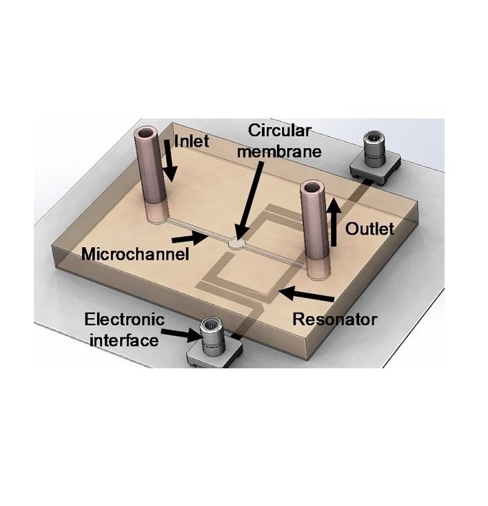 Noncontact and nonintrusive microwave-microfluidic flow sensor for energy and biomedical engineering