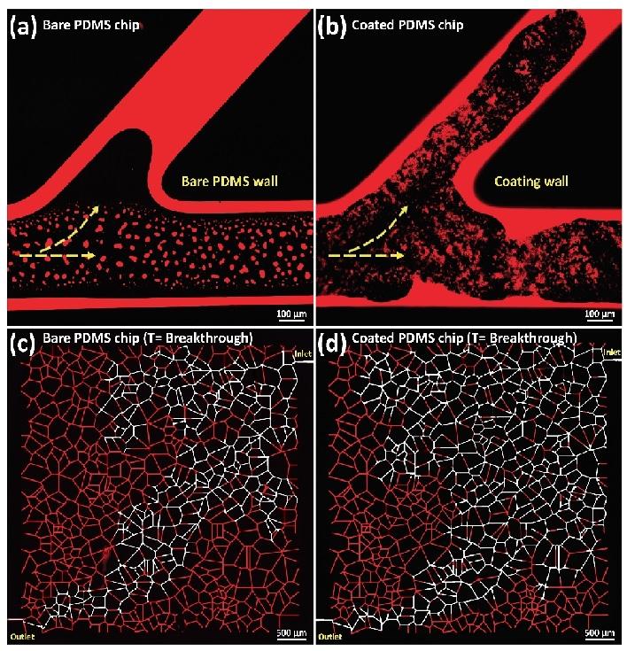 Geo-material surface modification of microchips using layer-by-layer (LbL) assembly for subsurface energy and environmental applications