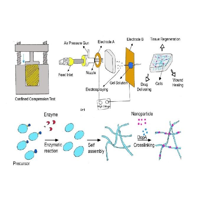 Manufacturing of hydrogel biomaterials with controlled mechanical properties for tissue engineering applications