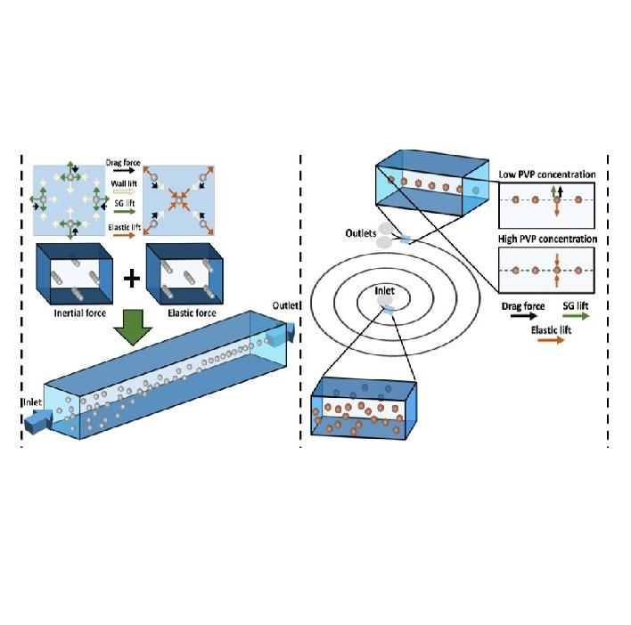 Manipulation of micro and nano-particles in viscoelastic fluid flows within microfluid systems