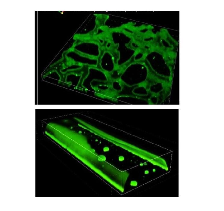 Geomaterial-functionalized microfluidic devices using a universal surface modification approach