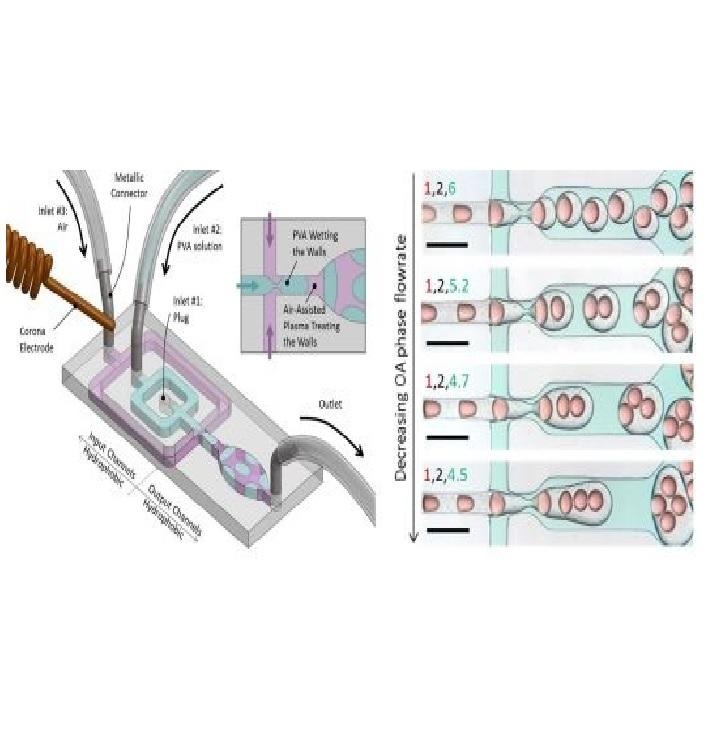 One-step wettability patterning of pdms microchannels for generation of monodisperse alginate microbeads by in situ external gelation in double emulsion microdroplets