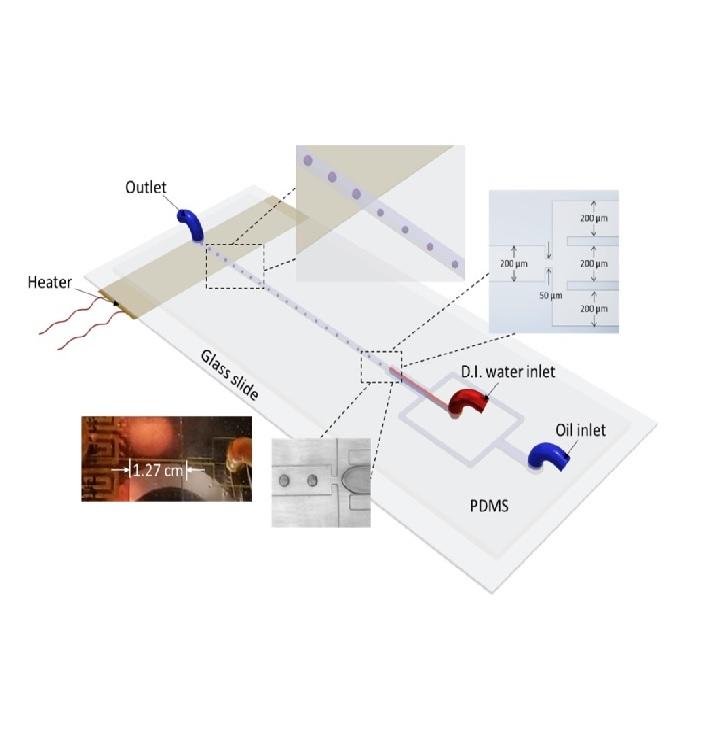Dynamics of temperature-actuated droplets within microfluidics