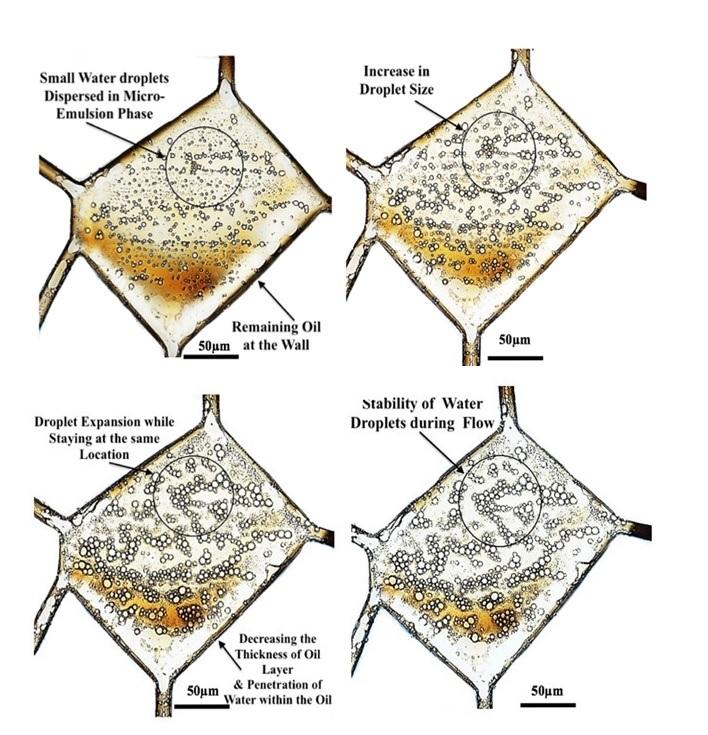 Role of chemical additives on water-based heavy oil mobilization: a microfluidic approach