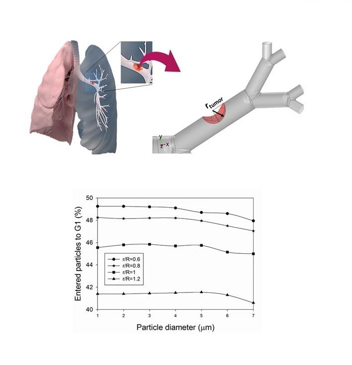Magnetic aerosol drug targeting in lung cancer therapy using a permanent magnet