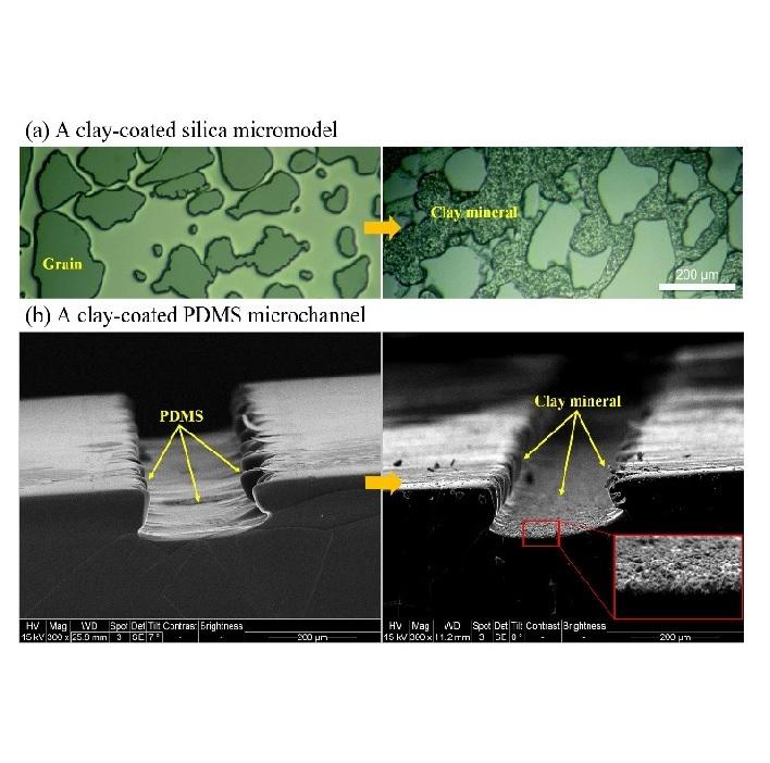 Functionalized multiscale visual models to unravel flow and transport physics in porous structures