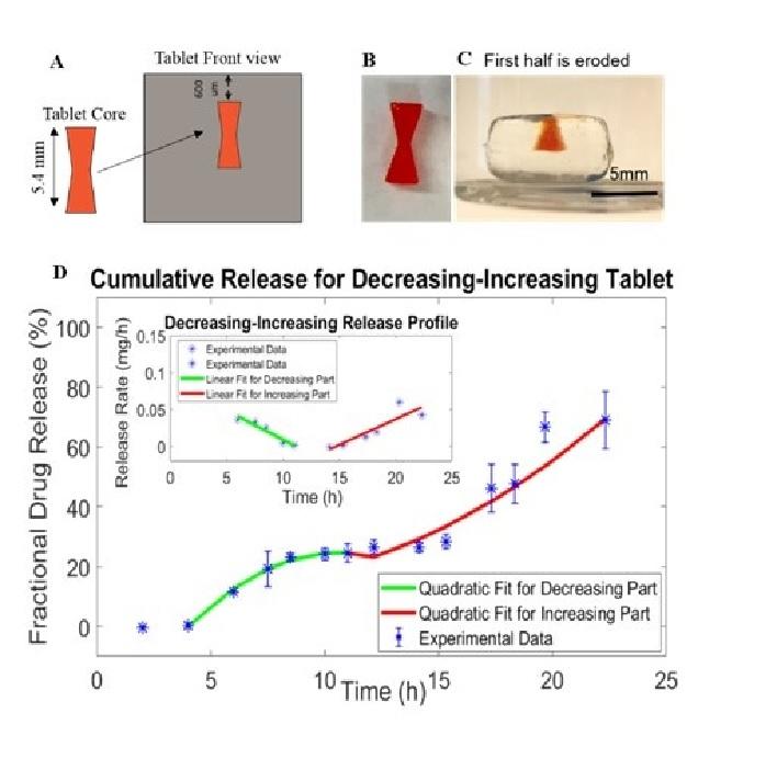 Scalable microfabrication of drug-loaded core-shell tablets from a single erodible polymer with adjustable release profiles
