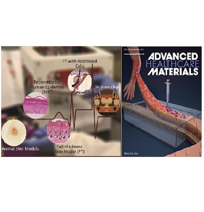 Skin Diseases Modeling using Combined Tissue Engineering and Microfluidic Technologies