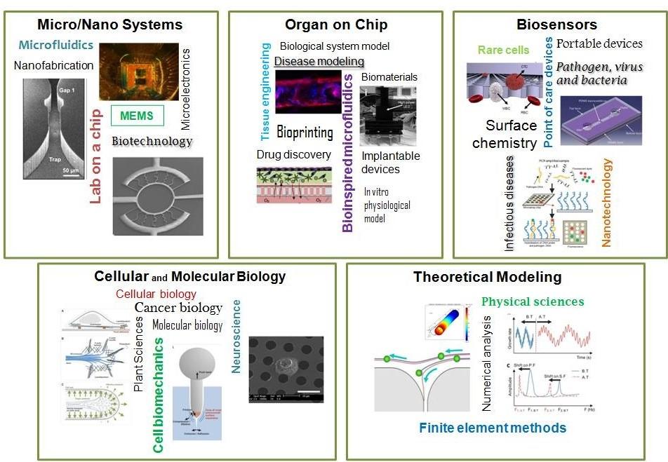 BioMEMS and Bioinspired Microfluidic Laboratory