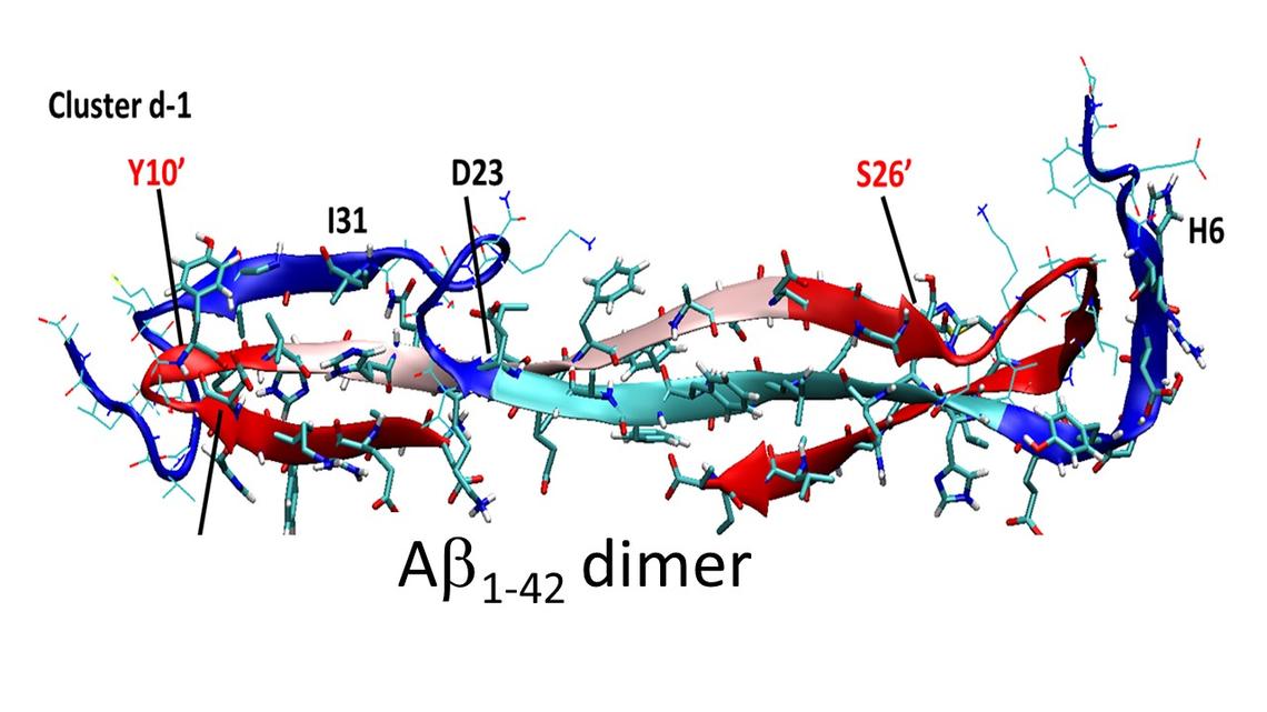 Abeta(1-42) dimer