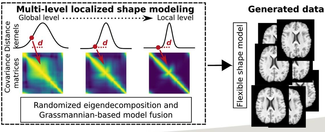 shape covariance