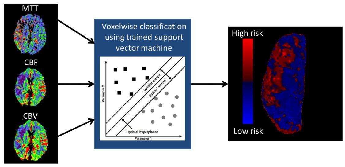 Voxelwise classification