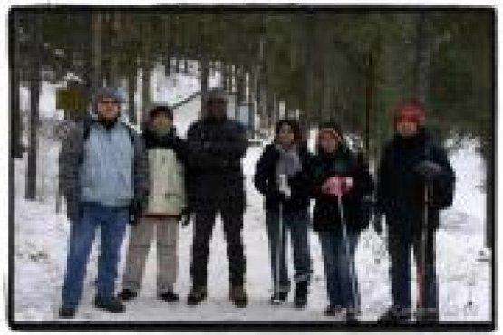 Johnston Canyon