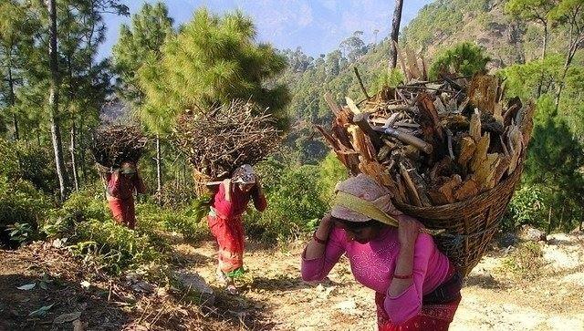 Forest livelihoods in Nepal