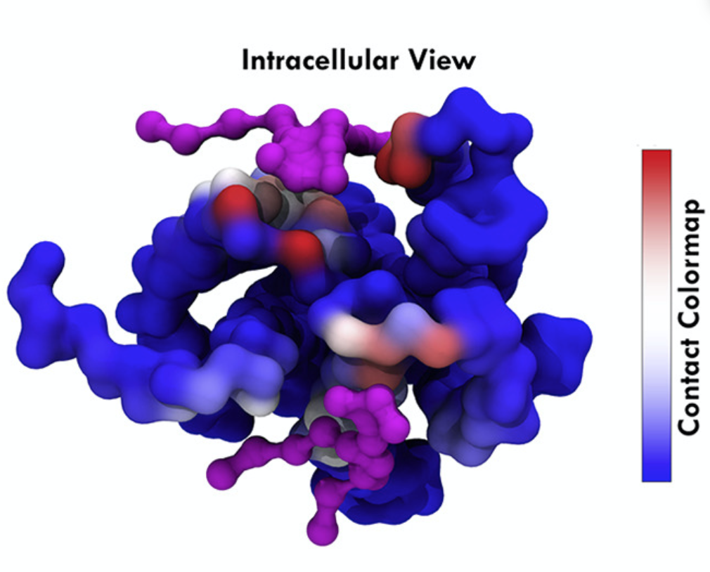 Contact Maps GPCR GPCR
