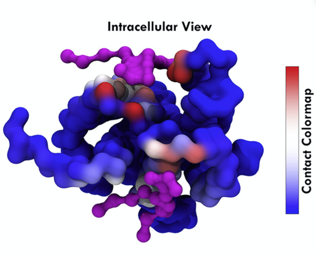 GPCR