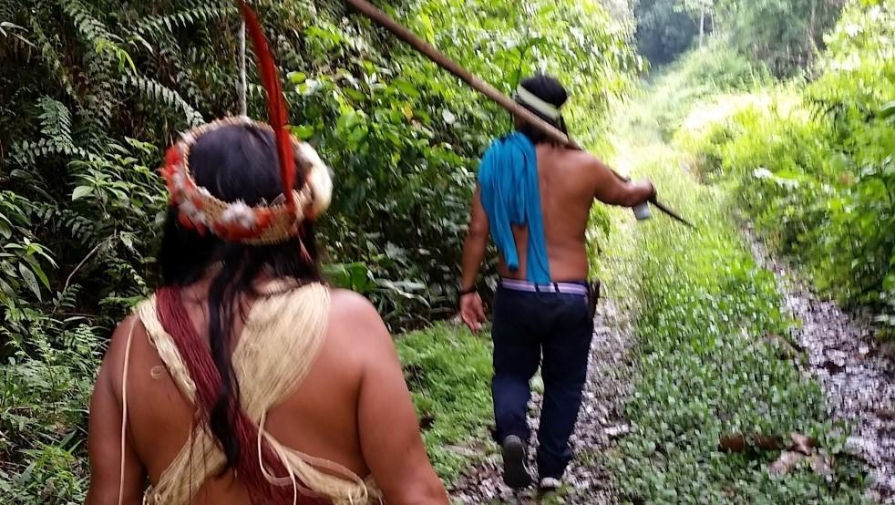 Amazon livelihoods in Ecuador