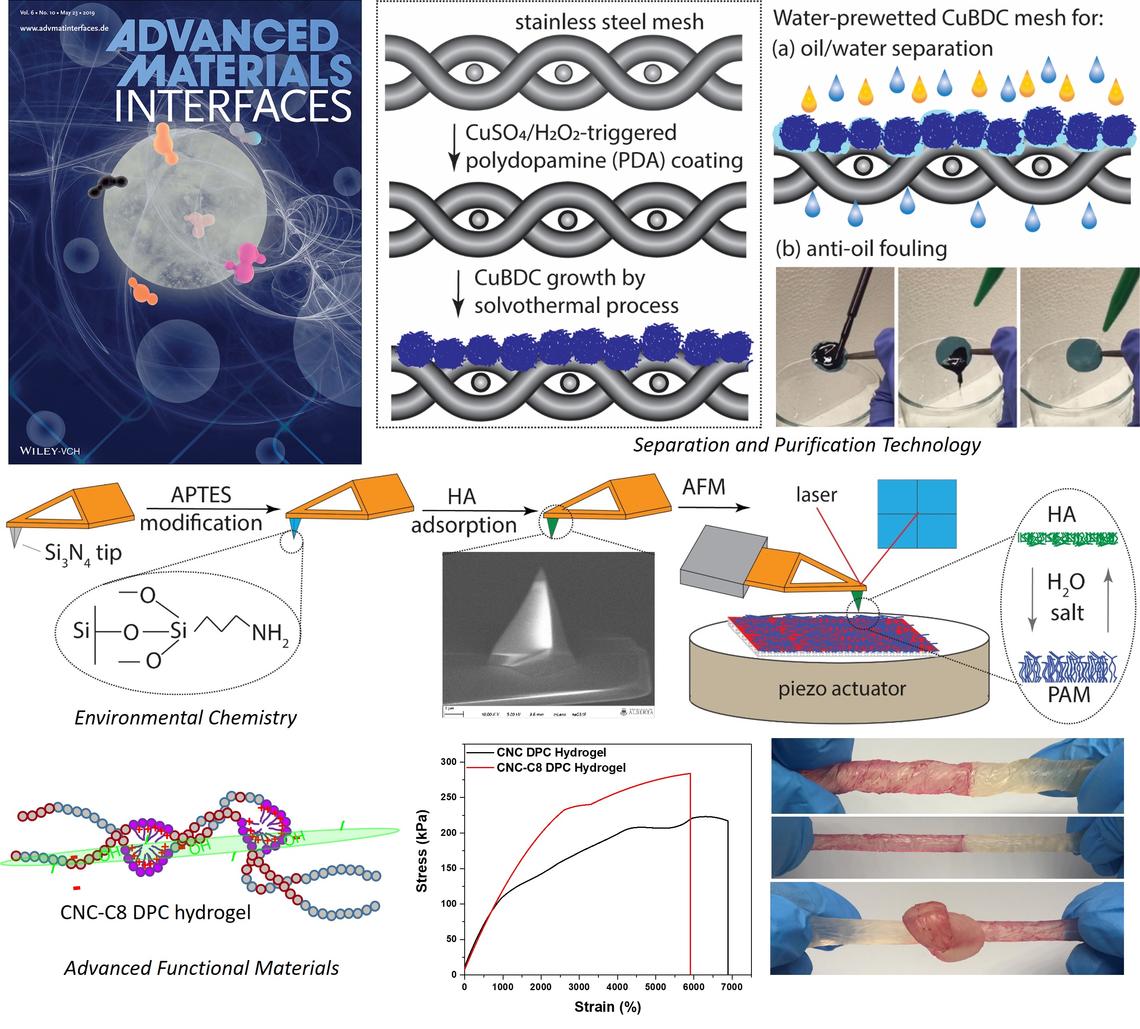 Interaction and Functional Materials