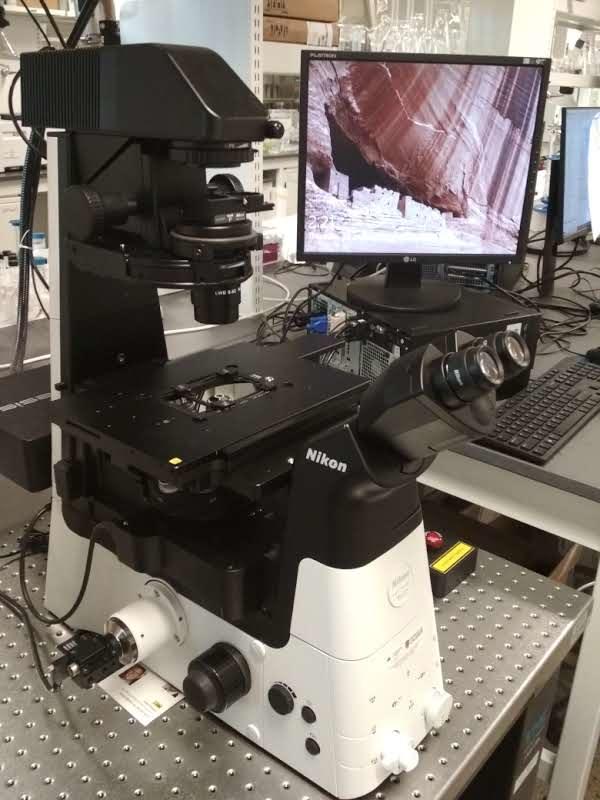 ECLIPSE Ti2-A Inverted Microscope