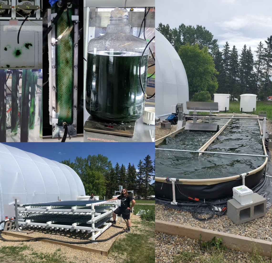 Growing cyanobacteria - from lab to scale Growing cyanobacteria - from lab to scale