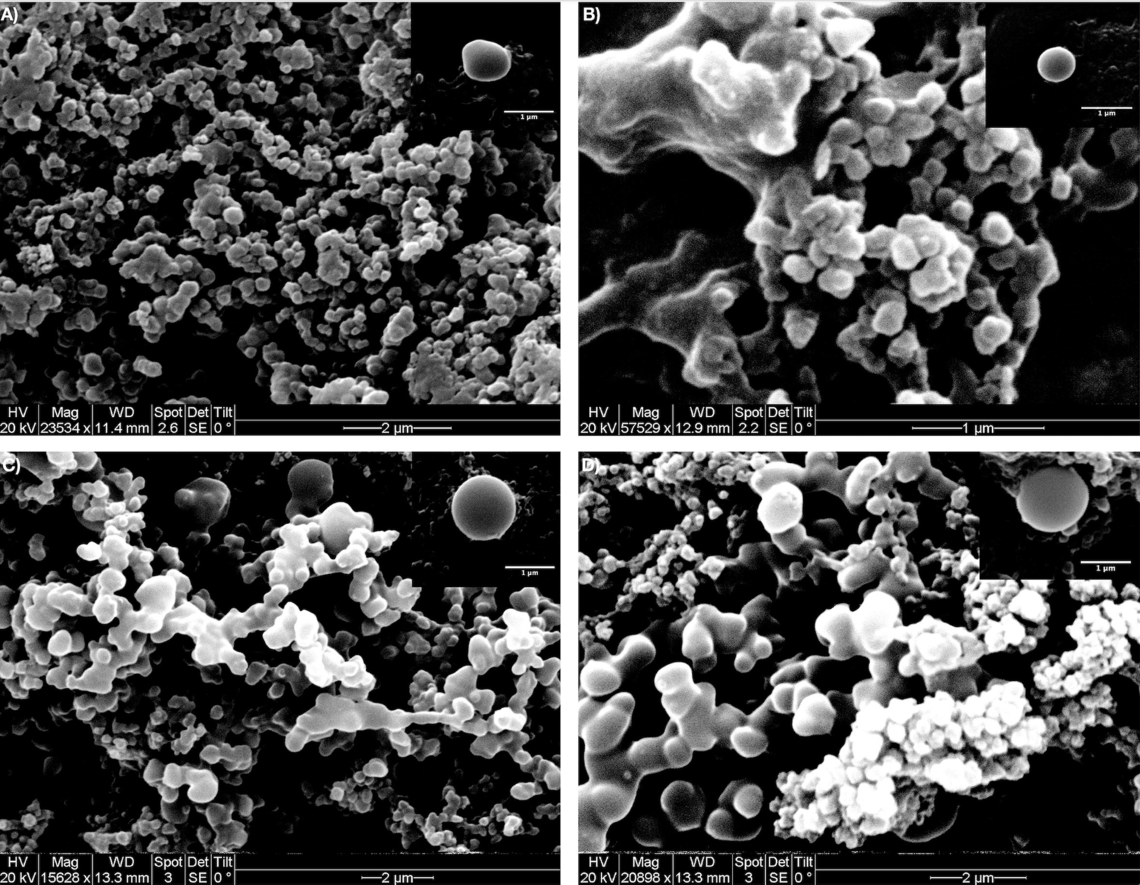 Effects of synthesis-solvent polarity on the physicochemical and rheological properties of poly(N-isopropylacrylamide) (PNIPAm) hydrogels.