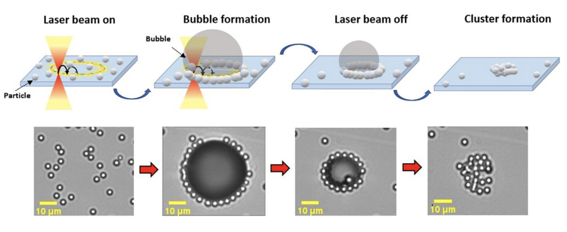 Deterministic particle assembly on nanophotonic chips