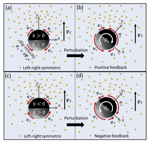 Spontaneous chiralization of polar active particles