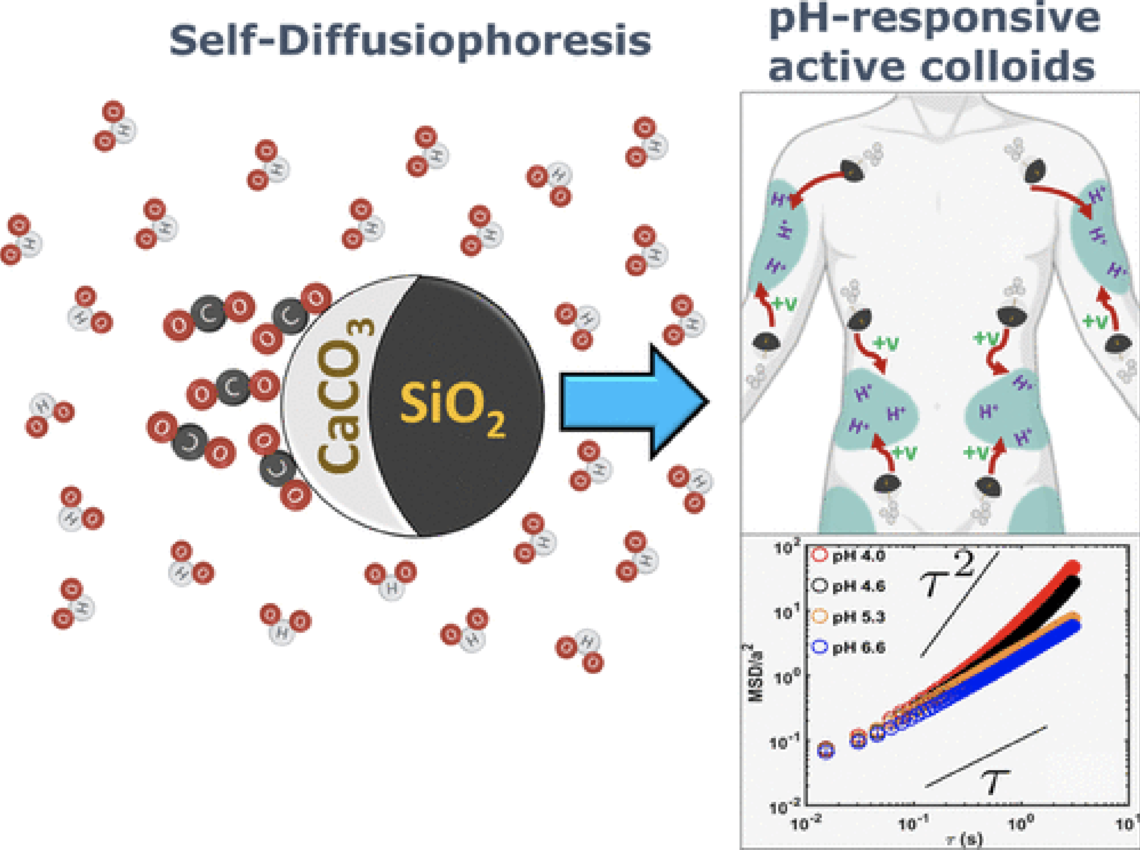 Scalable Chemical Synthesis Route to Manufacture pH-Responsive Janus CaCO3 Micromotors