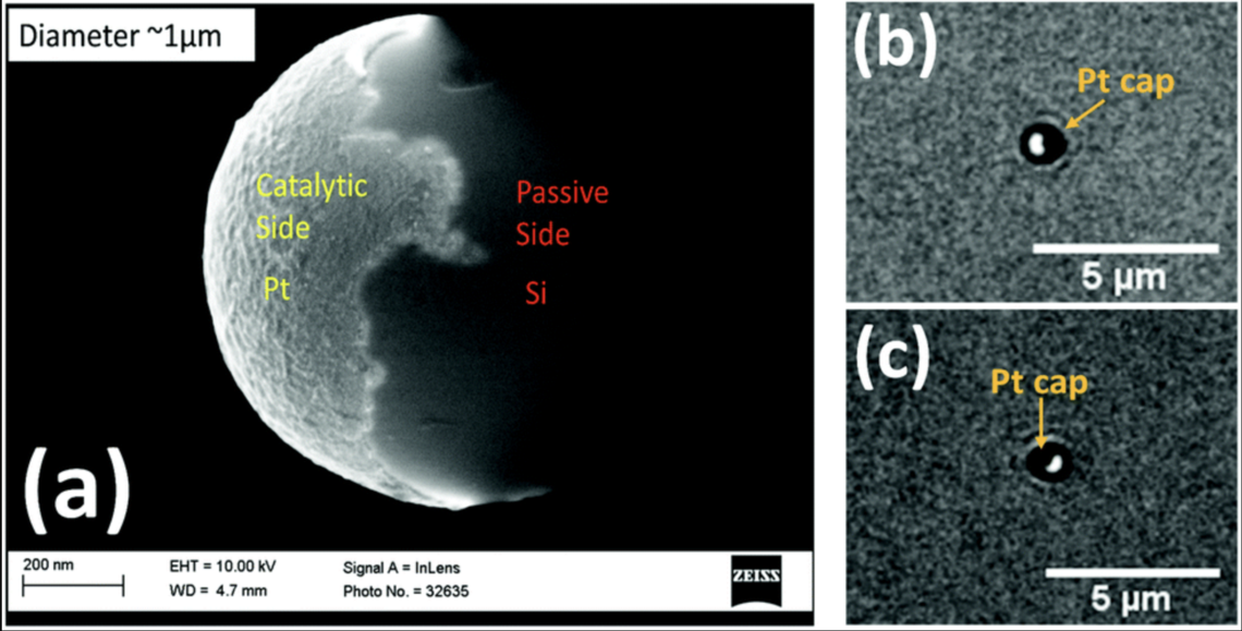 Diffusiophoresis of active colloids in viscoelastic media