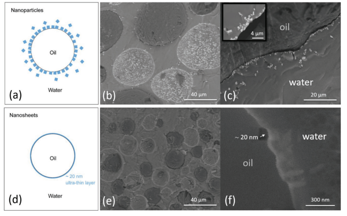 2D and 3D Metal–Organic Framework at the Oil/Water Interface: A Case Study of Copper Benzenedicarboxylate