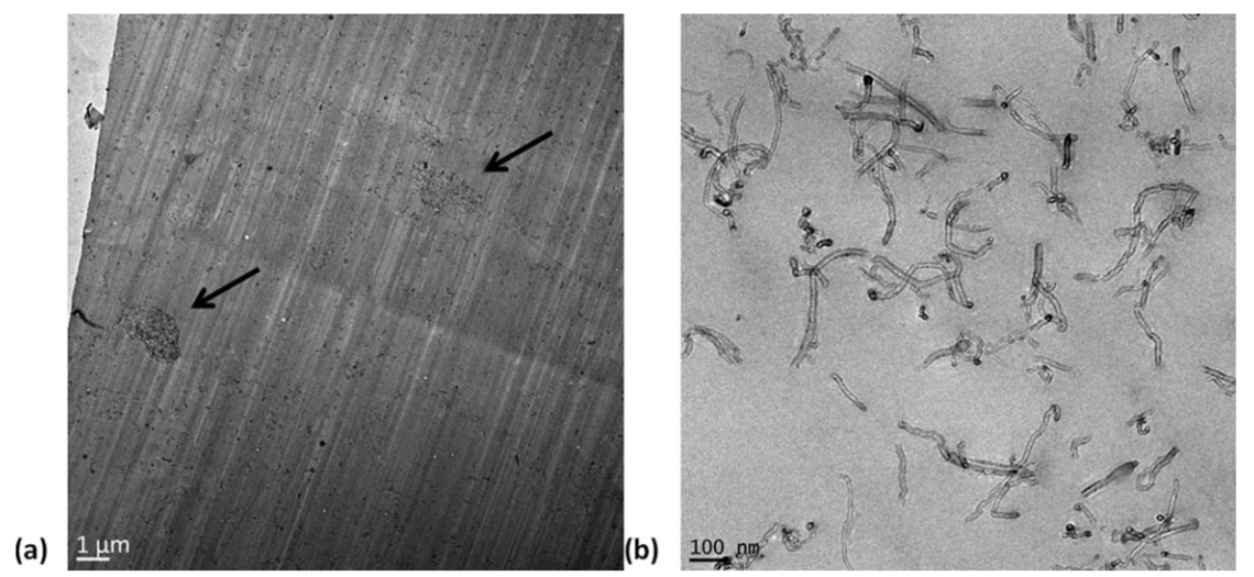 Rheological modeling of carbon nanotube suspensions with rod-rod interactions