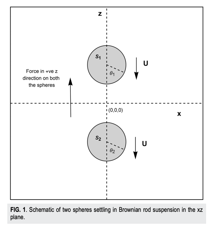 Settling dynamics of two spheres in a suspension of Brownian rods