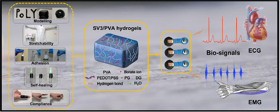 Self-healing, stretchable, and highly adhesive hydrogels for epidermal patch electrodes