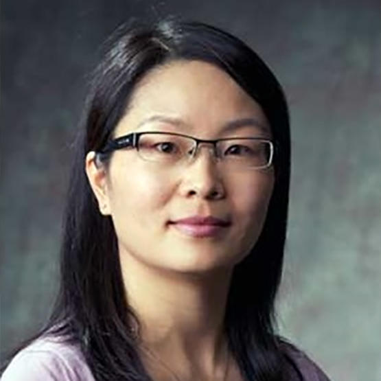 Dr. Hua Shen