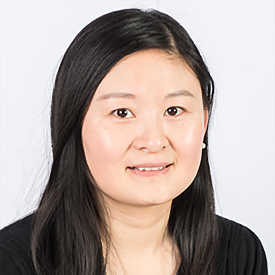 Dr. Jingjing Wu