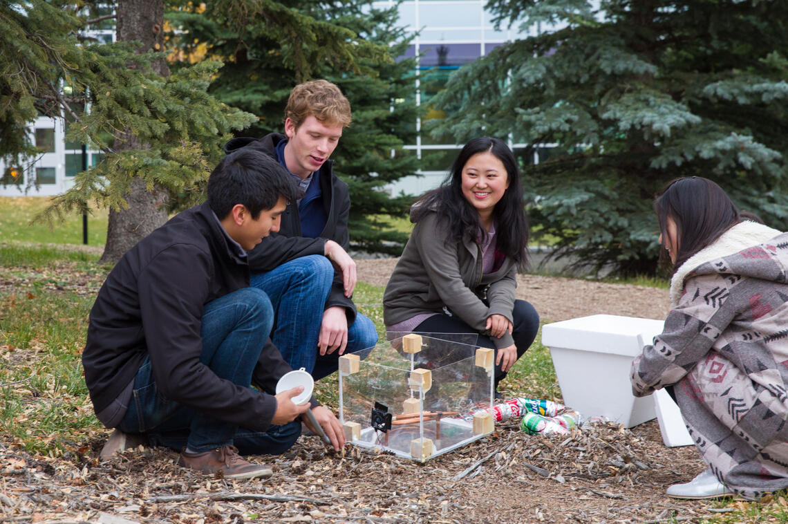 A group of young students doing research outside.