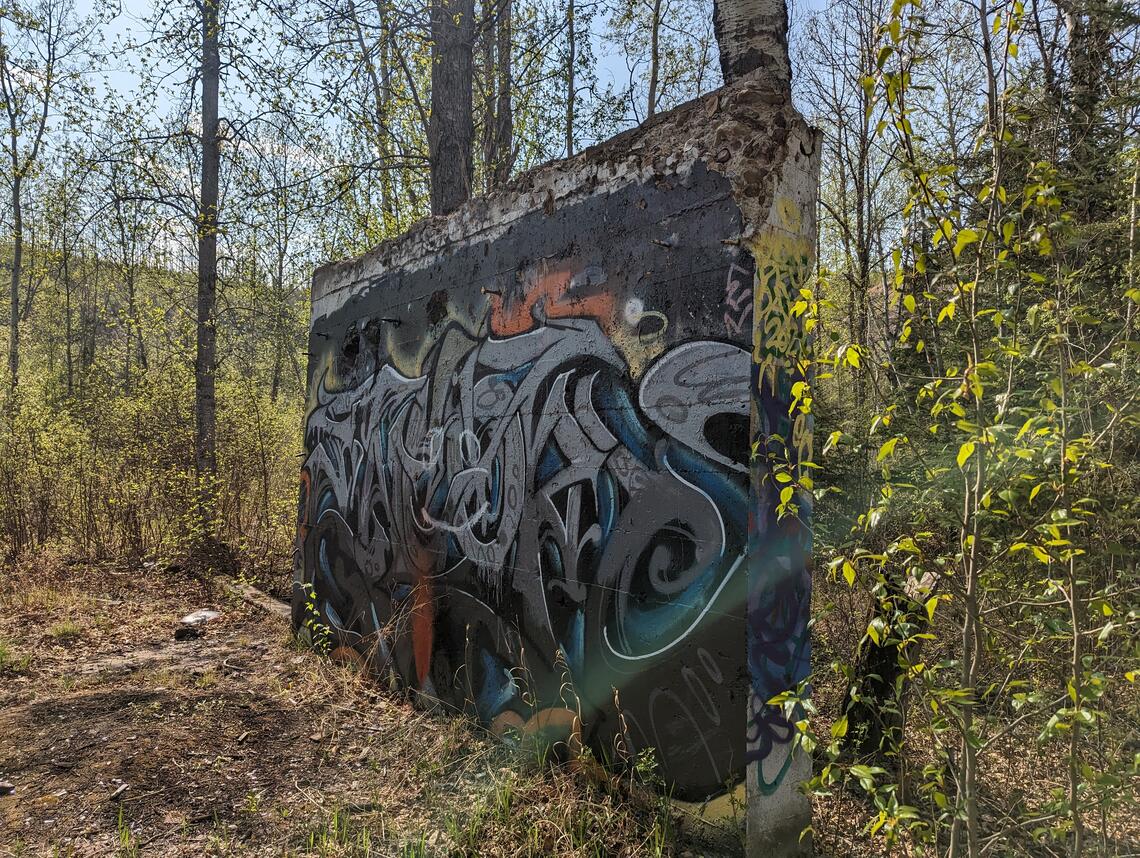 one ruined wall, covered with grey and silver graffiti in the middle of a forest on a sunny day