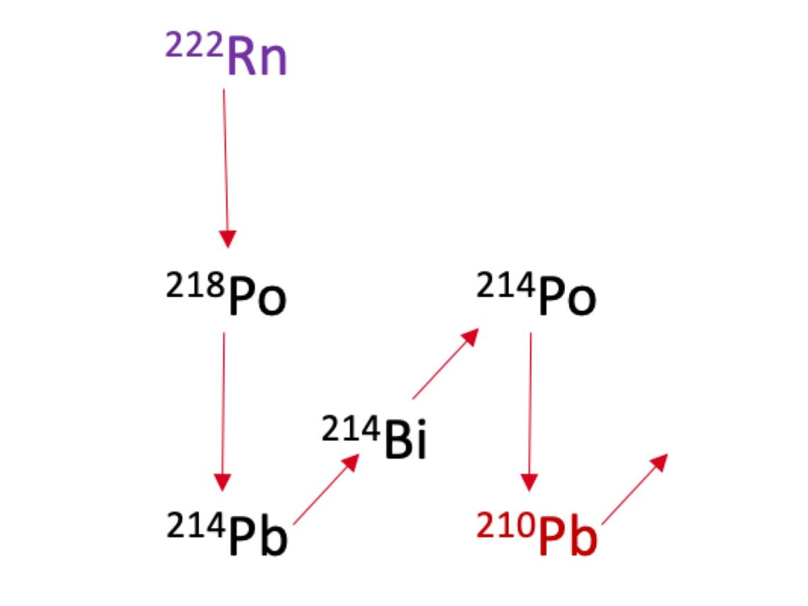 Decay pathway of radon 222