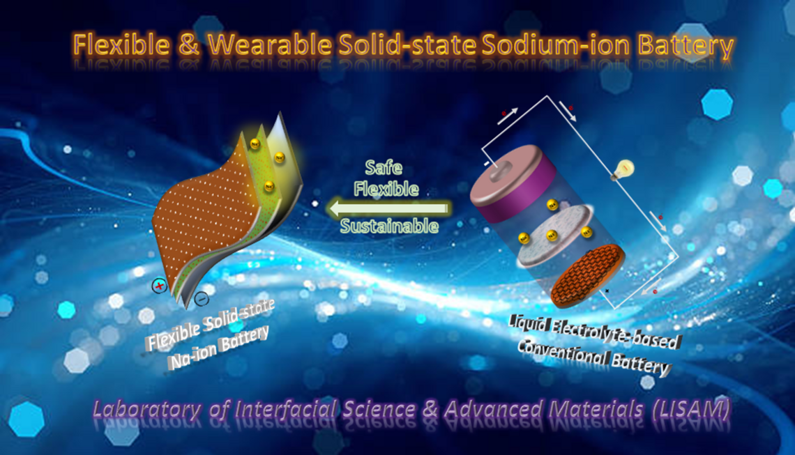 sodium ion project