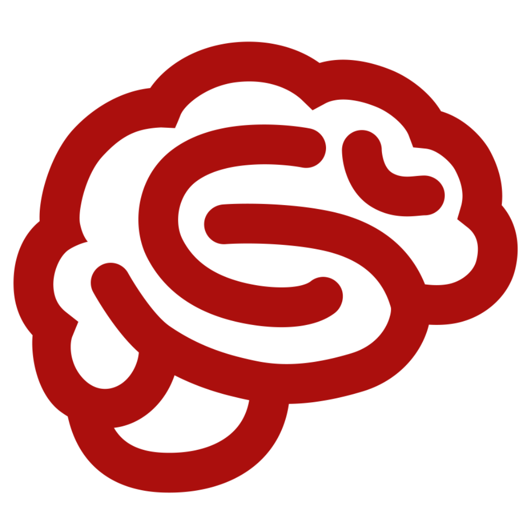 Metacognition icon with outline of a brain.