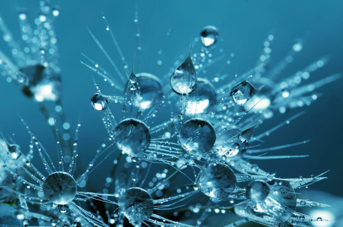 Science image