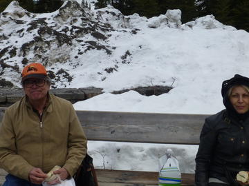  17th deMon Developers Workshop