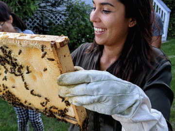 Samarai holding a frame of bees at the Lab BBQ 2019