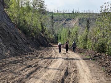 4 people walking down a dirt road with with forest on one side