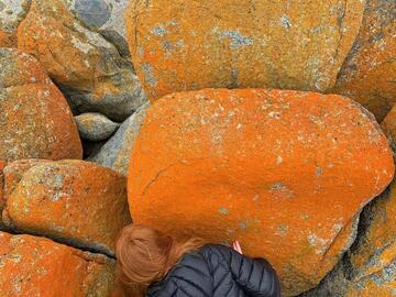 Person with red hair hides behind large red-orange rocks on a beach