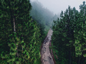 Looking down on a narrow road winding through trees, that goes up and seems to disappear into the mist