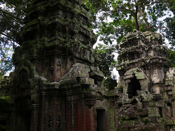 A shadowed forest temple with overgrown rock columns lined in moss