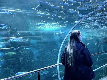 A person walks through an aquarium tunnel with fish swimming alongside