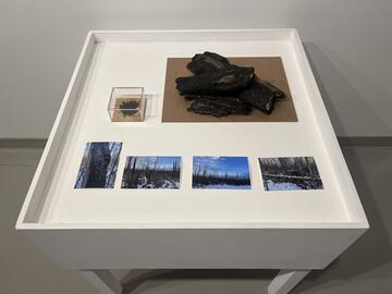 artefacts (including burned wood, photos) on a table in a gallery space